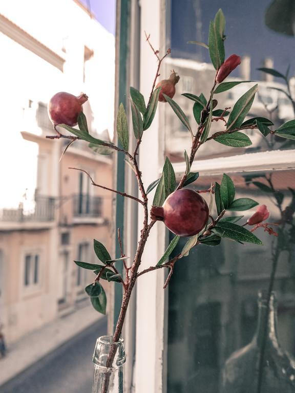 Cozy Lisbon Janelas Verdes Eksteriør bilde